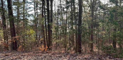 Lot 50 Whilshire Dr., Fairfield Bay