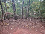 16086 Heron Run  Drive, Tega Cay image
