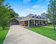 12303 Adams Run Drive, Cypress image