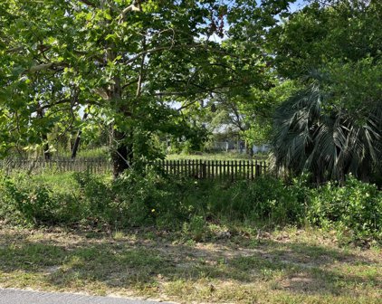 102 Walton Palm Road, Inlet Beach