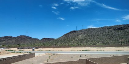 10194 N Black Dalea, Marana