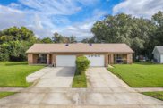 1211 Pleasant Oaks Court, Kissimmee image