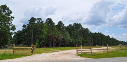 Tommy Smith Road, Conroe