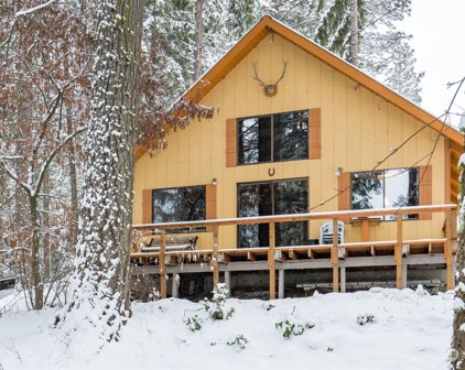 22582 Chiwawa River Rd, Leavenworth
