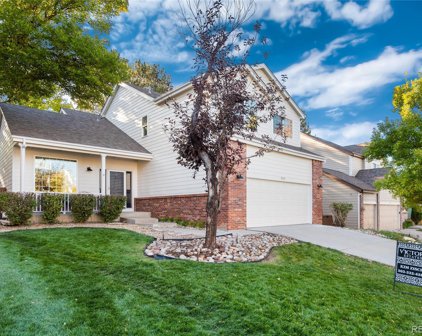 9715 Red Oakes Drive, Highlands Ranch