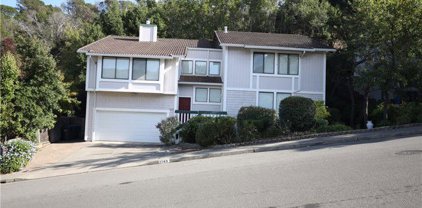 1143 Santolina Drive, Novato