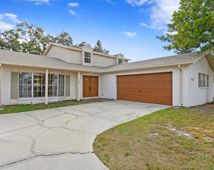 7402 Overbrook Drive, Tampa
