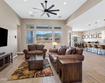 425 E Arizona Poppy, Oro Valley