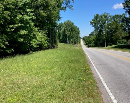19 acres Highway 25, Ninety Six