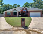 178 Hibiscus, Maumelle image