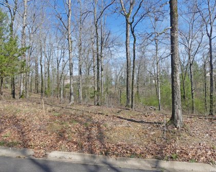 Lot 10 ROSE CREEK Court, Hot Springs