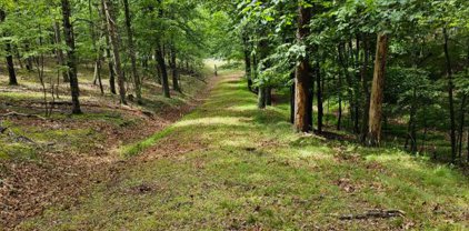 Luther Michael Rd, Berkeley Springs