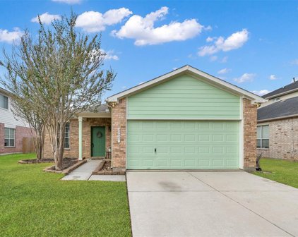 22007 Willow Shadows Drive, Tomball