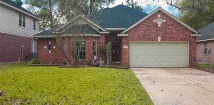 19406 Water Point Trail Trail, Humble