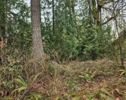 Vacant Land, Maple Valley image