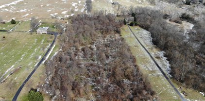 Trapp Hill, Berryville