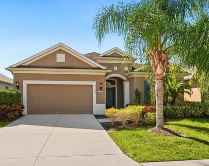 11506 Belvedere Terrace, Lakewood Ranch