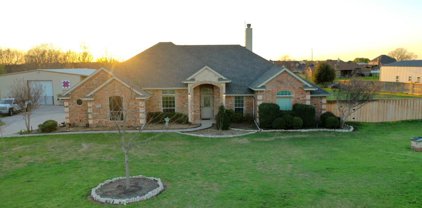 14225 Meadow Grove  Drive, Haslet