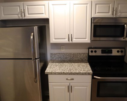 3146 BRISTLE BRANCH DR, Sparks