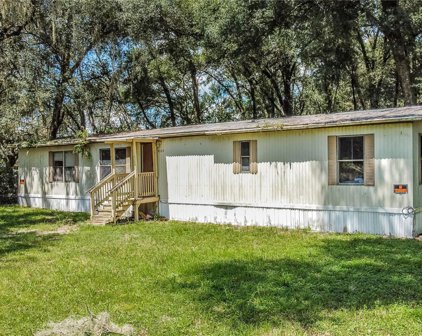 33105 Cassandra Way, Dade City