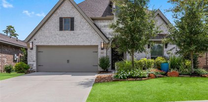 8145 Tyrell Heights Drive, Magnolia