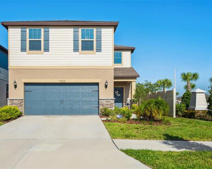 11303 Green Harvest Drive, Riverview