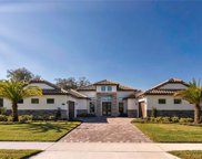 31715 Red Tail Boulevard, Sorrento image