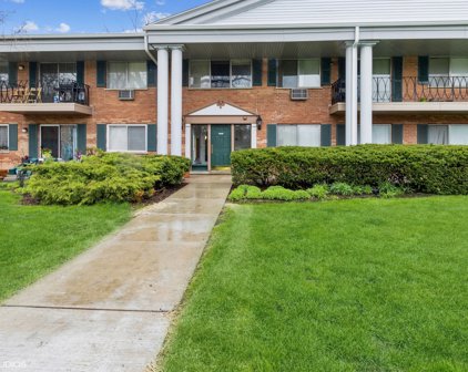 2323 S Goebbert Road Unit #109, Arlington Heights