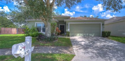 24745 Mary Beth Court, Land O' Lakes