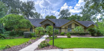 4609 Ackerly Way, Brandon