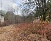 65677 Kawkawa Lake Road, Hope image