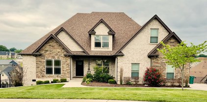 159 Dobson Knob Trl, Nolensville