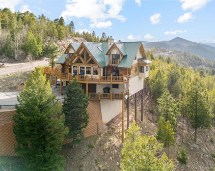 10186 Horizon View Drive, Morrison