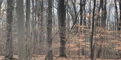 Lusbys Ln, Brandywine