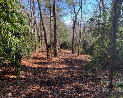 17A Hawkins Hollow  Road, Pisgah Forest