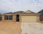 2007 Live Springs Way, Rosenberg image