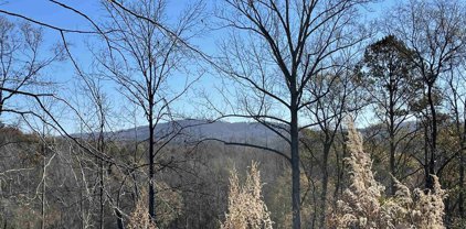 Deana Lane, Blacksburg