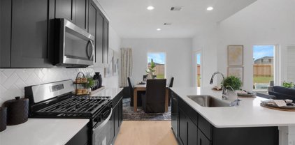 3815 Pierce Place Lane, Katy