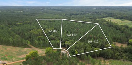 Lot 12 County Road 21, Moundville