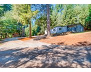 4724 NE 292ND AVE, Camas image
