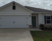 113 S Rainbow Dr, Whitehouse image