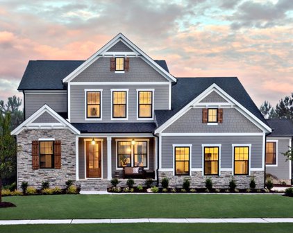 68 Amelia, Holly Springs