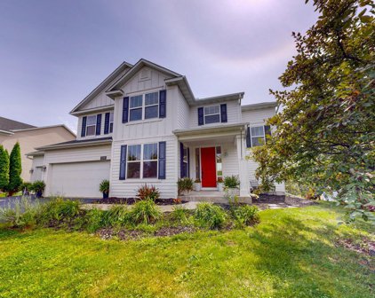 11249 Redwood Curve, Woodbury