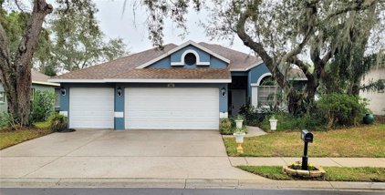 381 Wood Bridge Avenue, Tarpon Springs