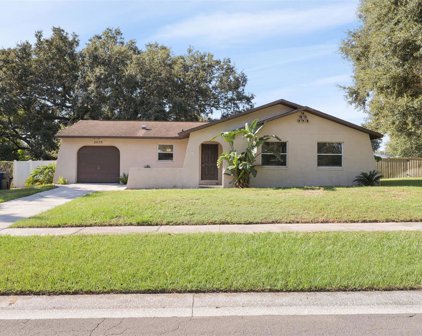 2039 Ronald Circle, Seffner