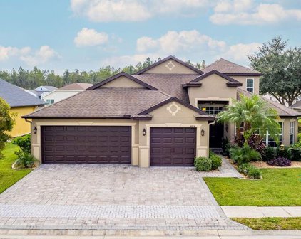 4814 Pointe O Woods Drive, Wesley Chapel