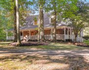 241 Sutallee Ridge Court, White image