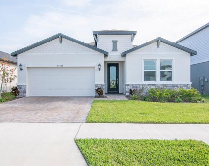 34406 Evergreen Hill Court, Wesley Chapel