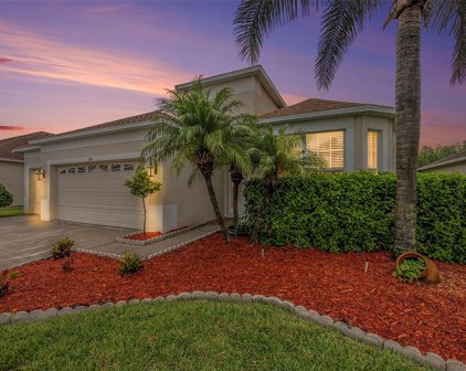 3124 Donington Castle Lane, Land O' Lakes