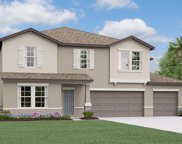 2978 Flying Blackbird Road, Bartow image
